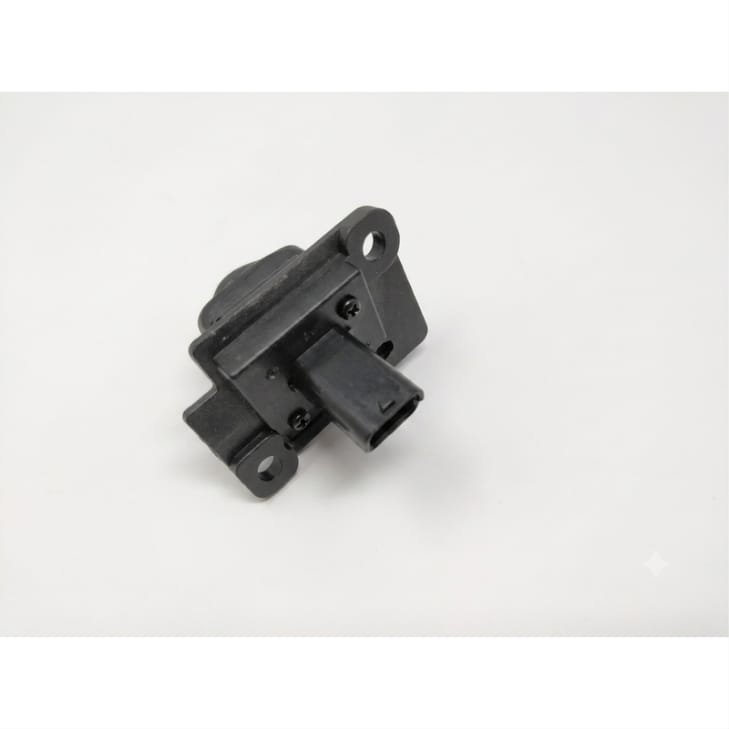 Nissan / Renault (CAMERA – RR)