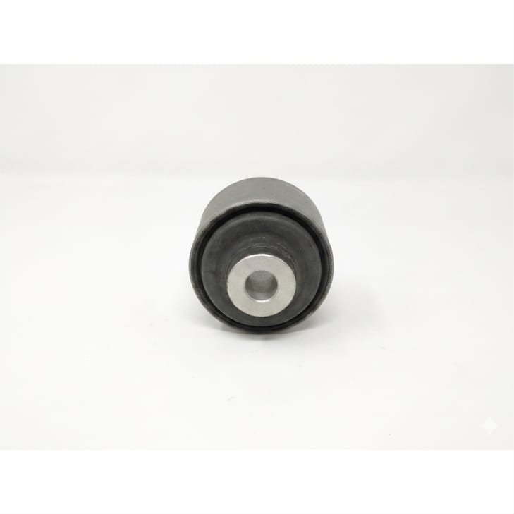 TATA (PIVOT BUSH ASSY,REAR)