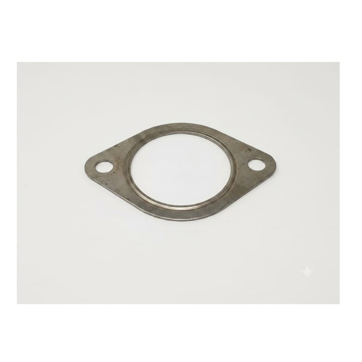 TATA (GASKET (CC TO FRONT PIPE)